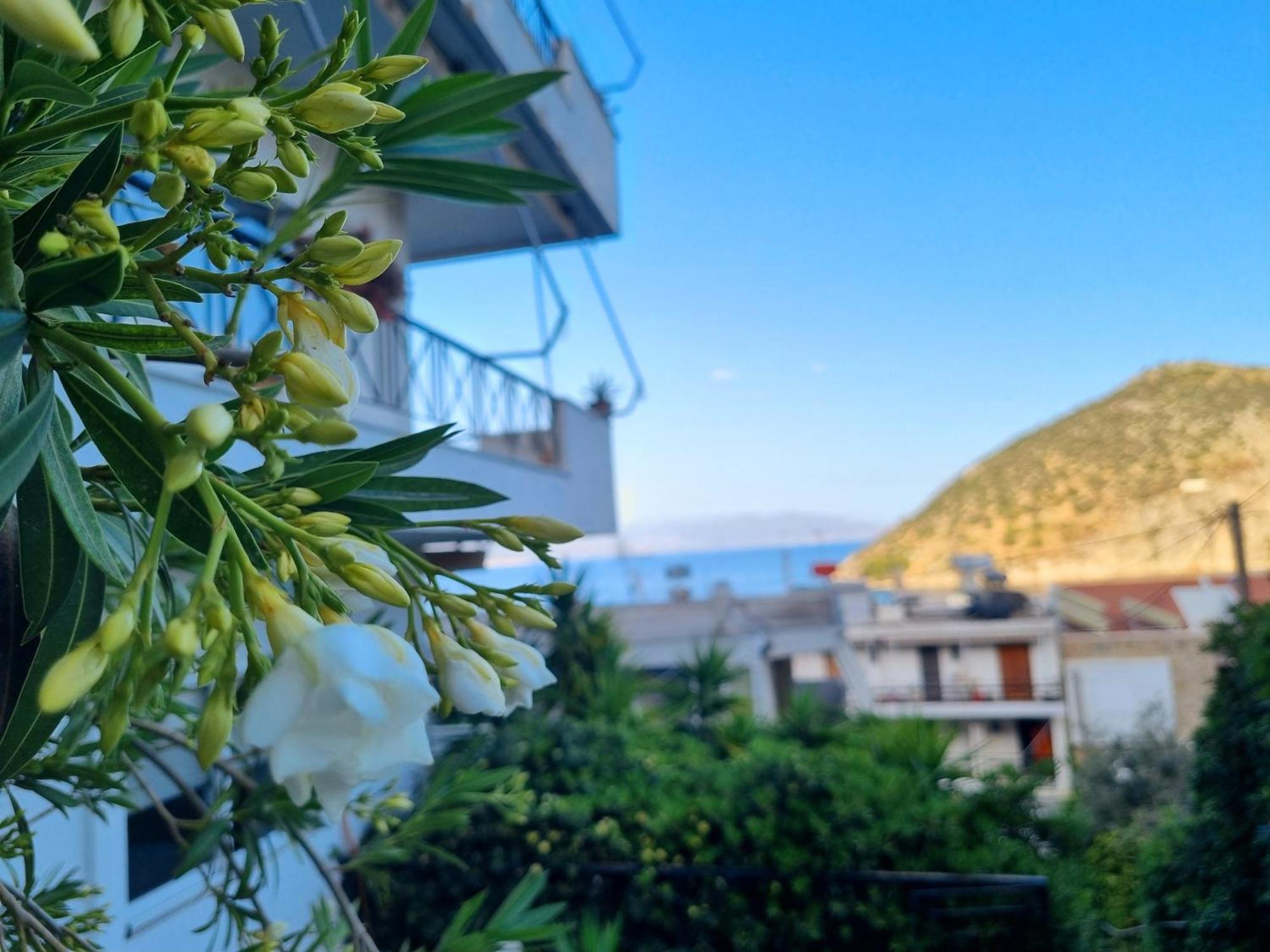 Tolo At Sea - Nova Apartment Ngoại thất bức ảnh